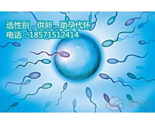 深圳合法代孕价格，孕妇梦见钢笔坏了是预示生男还是生女？