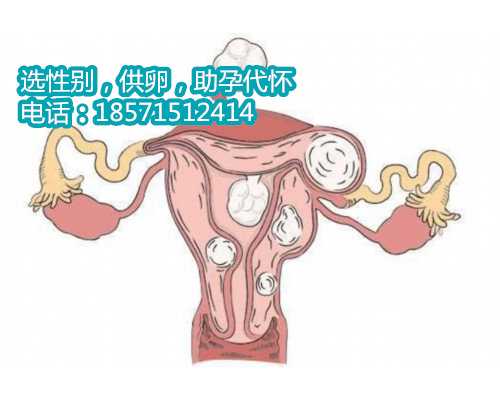 深圳供卵代生小孩哪里好 左侧附件区囊性灶是什么意思