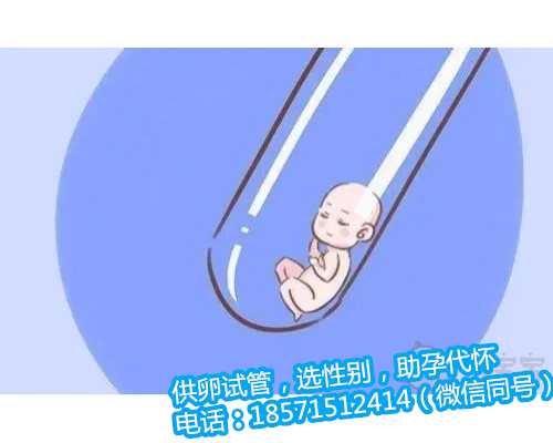 深圳合法代怀孕多少钱 北医三院生殖科李红真医生不给移植吗？
