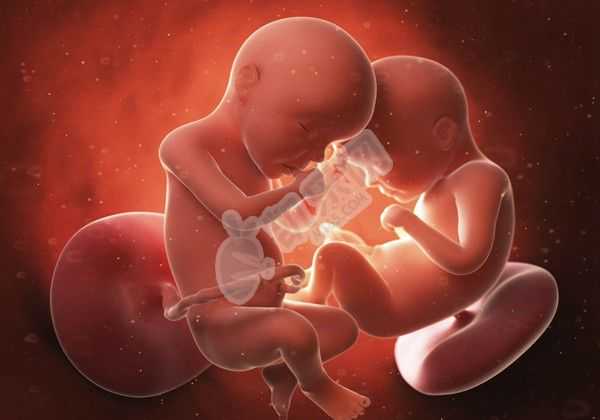 深圳供卵代生机构咨询,22022影响湖南试管婴儿成功率的因素有哪些