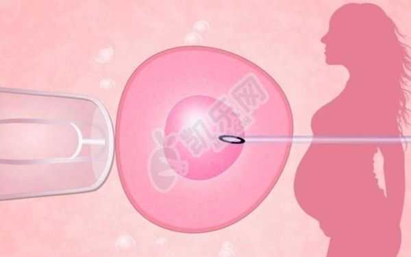 深圳供卵代生宝宝包男孩,囊胚移植可以避免宫外孕吗